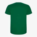 Camiseta niños Dinosaur Capybara (verde kelly) (detrás)