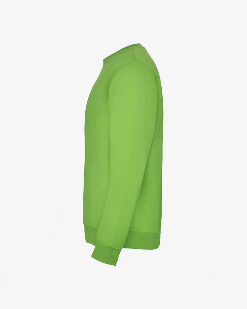 Sudadera niña Don't worry be capy (verde oasis) (lateral izquierdo)