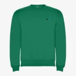 Sudadera niños Dinosaur Capybara (verde kelly) (delante)