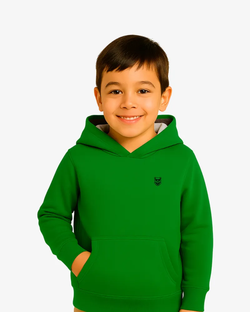 Sudadera Dual Tone niños Sydney Mr Trendy Bear (verde kelly_gris vigoré) (delante)